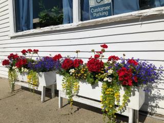 flower boxes at the post office